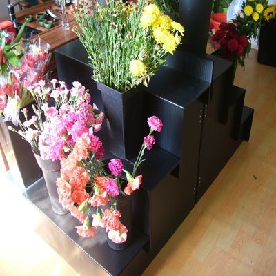 Черное индикаторное оборудование цветочного магазина шага PP 4 выставочной витрины Corflute флористическое