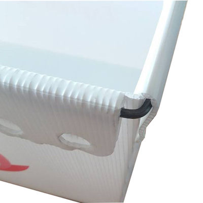 Coroplast 3mm USPS грузя пластиковый легковес Totes прочный