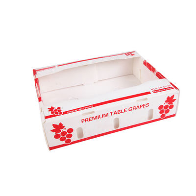 Коробка упаковки плода кивиа Coroplast картонных коробок свежей продукции Corflute