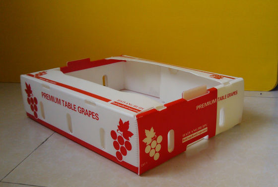 Коробка упаковки плода кивиа Coroplast картонных коробок свежей продукции Corflute