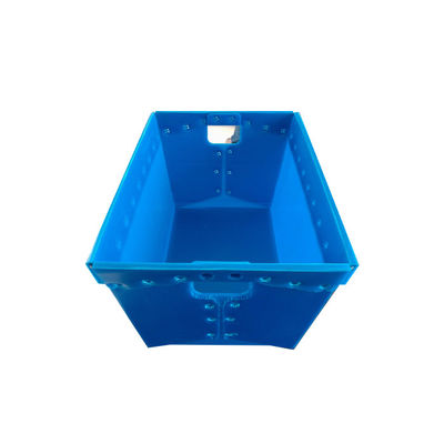 Пестротканый складывая пластиковый Tote почты прессовал доска Twinwall пластиковая