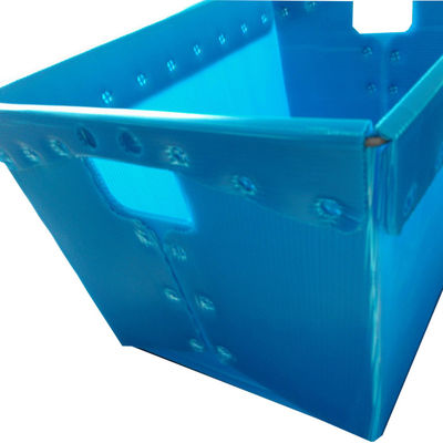 Пестротканый складывая пластиковый Tote почты прессовал доска Twinwall пластиковая