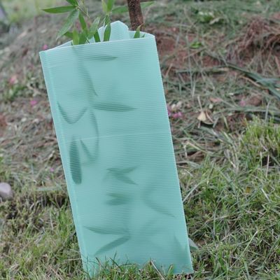 2mm Corflute гофрировали дерево защищают протекторы ствола дерева треугольника пластиковые