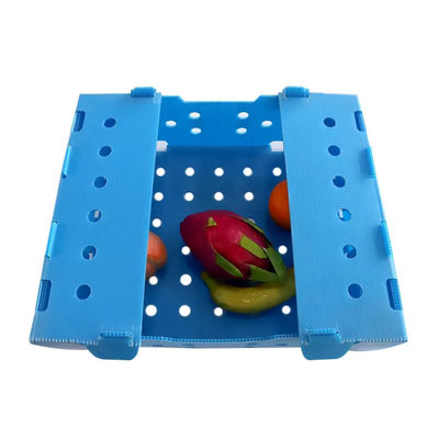 Custom size Fruit Packaging Box made of non toxic PP corrugated plastic suitable for fruit and vegetable packing needs