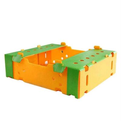 Custom Coroplast Packing Box for Fruits & Vegetables | Lightweight, Waterproof, Durable, Recyclable, Foldable, Stackable Plastic Crate | Custom Size Available